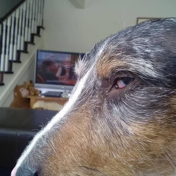 Meet your Posher, Jim - Picture 1 of 1